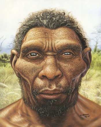 Die ältesten menschlichen Überreste, die in Mitteldeutschland gefunden wurden, stammen vom Homo erectus (der ›aufgerichtete Mensch‹). © Landesamt für Denkmalpflege und Archäologie Sachsen-Anhalt, Karol Schauer.