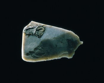 Dieser Steinschaber wurde zur Lederherstellung benutzt. Im Fugenbereich zwischen Steinklinge und vergangenem Holzgriff haften Reste eines Gerbsuds aus Eichenrinde. © Landesamt für Denkmalpflege und Archäologie Sachsen-Anhalt, Juraj Lipták.