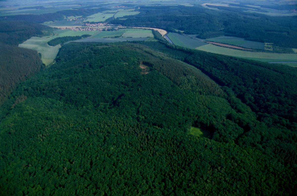 Landesmuseum für Sonderausstellungen Die Welt der